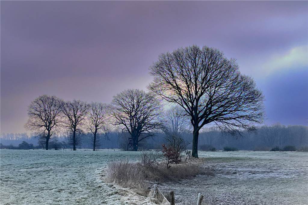 Unsere Leserinnen und Leser haben uns viele schöne Winterfotos aus Haltern zugeschickt.