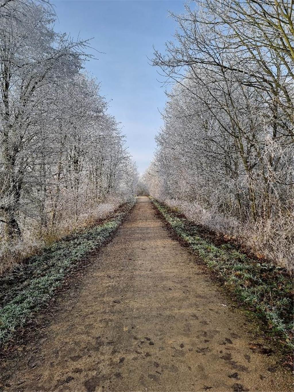 Unsere Leserinnen und Leser haben uns viele schöne Winterfotos aus Haltern zugeschickt.