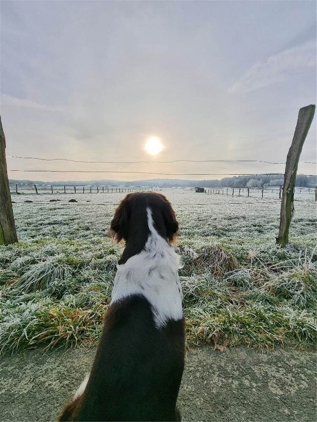 Unsere Leserinnen und Leser haben uns viele schöne Winterfotos aus Haltern zugeschickt.