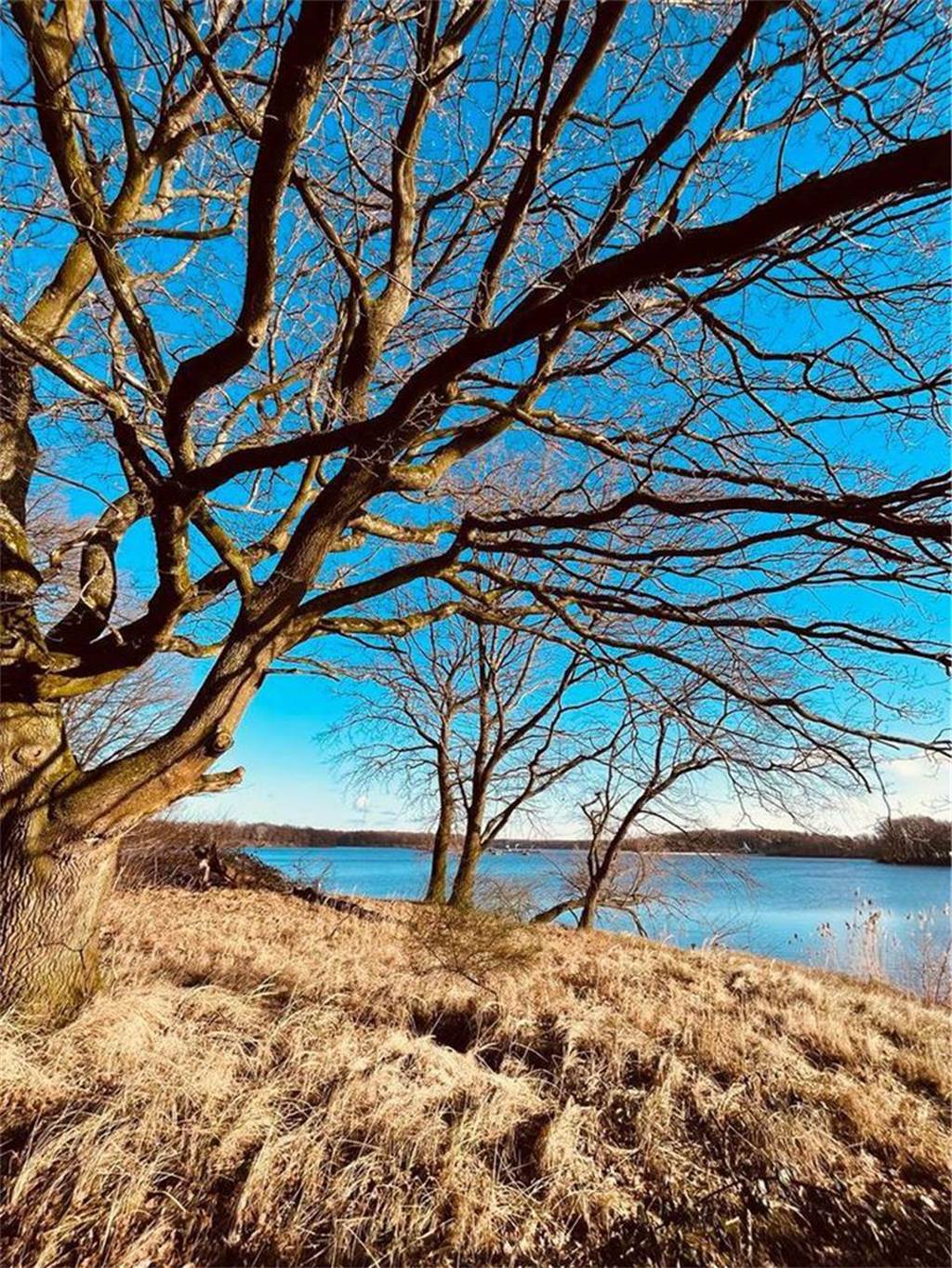 Unsere Leserinnen und Leser haben uns viele schöne Winterfotos aus Haltern zugeschickt.