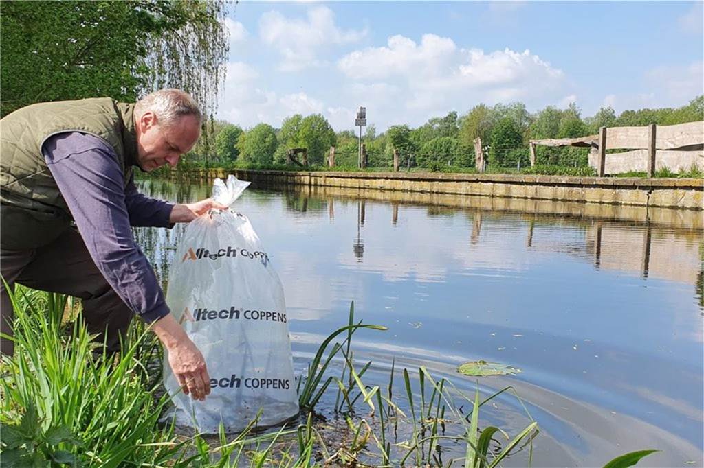 Gewässer-Zuschuss für Angelvereine: Grünes Licht für Antrag Unter anderem die Dinkel gehört zu den Vereinsgewässern. Auf diesem Bild setzt AV-Gewässerwart Rainer Borgert mit der Quappe im Mai 2021 eine ganz besondere Fischart im Fluss aus.