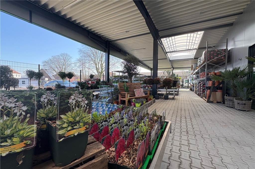 Neuer Raiffeisenmarkt eröffnet: Kunden begeistert über großes Angebot Unter anderen ist die Gartenabteilung im neuen Markt wesentlich gewachsen.