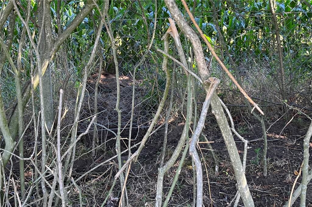 Wolf reißt Tiere der Florawelt – Stefanie Schüring ist geschockt Unter dem Zaun hat sich der Wolf durchgegraben.