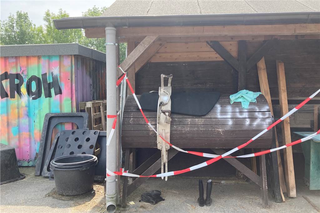Tiere mit Farbe besprüht, Feuer gelegt: „Seltsame Form von Lokalpatriotismus“ Unter den Schmierereien ist die Postleitzahl von Scharnhorst.