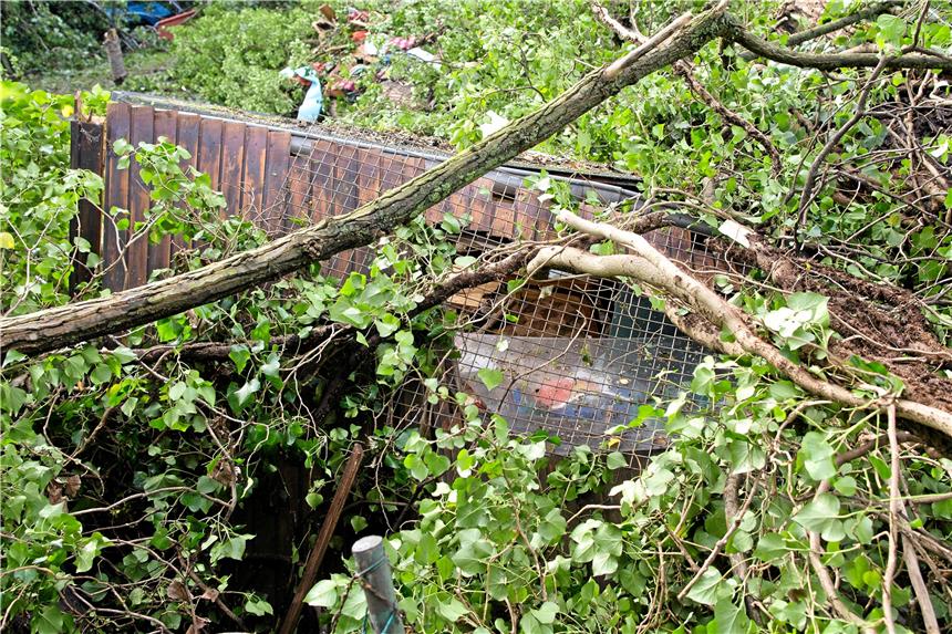 Die Pappel hat kaum noch eine Chance Unter umgeknickten Bäumen sind im Sommer 2014 in Düsseldorf die Überreste eines Gartenhauses zu sehen. Drei Menschen verloren hier ihr Leben. Sie hatten Zuflucht vor dem Unwetter gesucht, als eine schwere Pappel auf das Haus stürzte.
