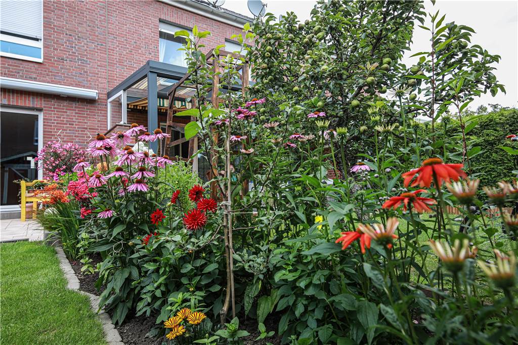 Unterschiedliche Blumen finden sich im Garten.
