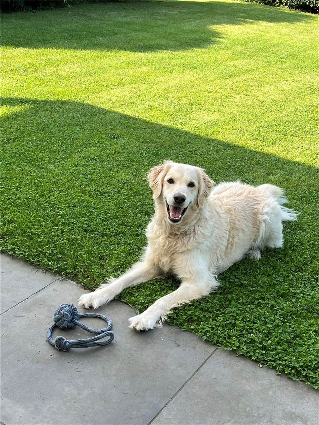 Zum Welthundetag: Viele Fotos von den Dorstener Fellnasen Unzählige E-Mails sind bei uns zum Welthundetag eingegangen. Ob kleine oder große Fellnasen: Hier sind Dorstens Hunde!