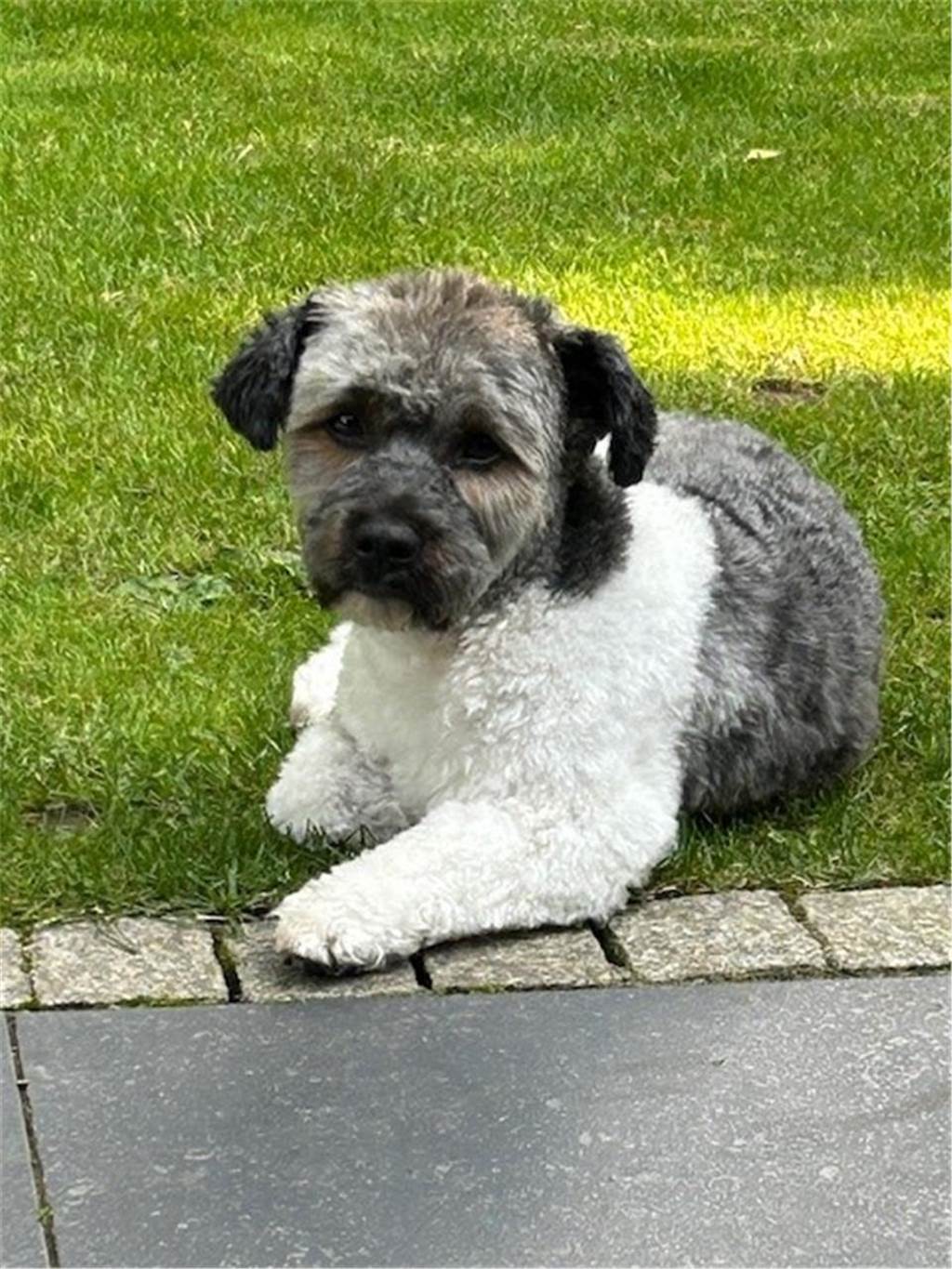 Zum Welthundetag: Viele Fotos von den Dorstener Fellnasen Unzählige E-Mails sind bei uns zum Welthundetag eingegangen. Ob kleine oder große Fellnasen: Hier sind Dorstens Hunde!