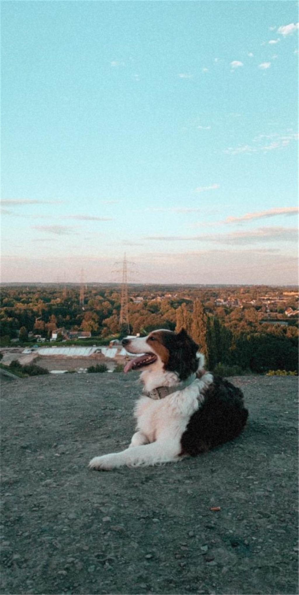 Zum Welthundetag: Viele Fotos von den Dorstener Fellnasen Unzählige E-Mails sind bei uns zum Welthundetag eingegangen. Ob kleine oder große Fellnasen: Hier sind Dorstens Hunde!