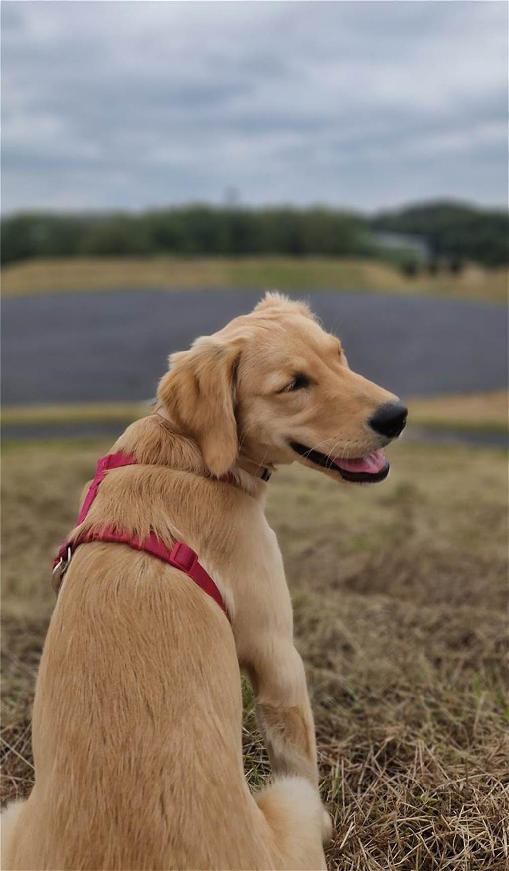 Zum Welthundetag: Viele Fotos von den Dorstener Fellnasen Unzählige E-Mails sind bei uns zum Welthundetag eingegangen. Ob kleine oder große Fellnasen: Hier sind Dorstens Hunde!
