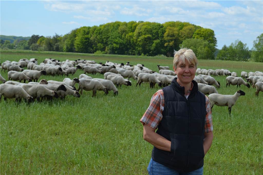 Gerissene Rehe und Schafe, verseuchte Äcker – Hunde sorgen für Ärger Ute Rudack mit ihrer Schafherde.