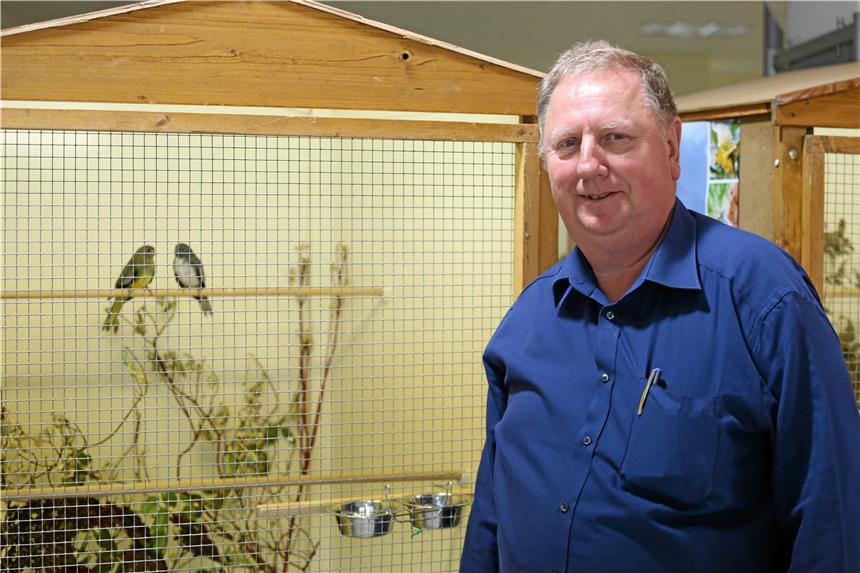 Vogelzuchtverein zeigt Wernes schönste Tiere Uwe Lentwojt züchtet seit 1984 ununterbrochen. Seine ersten Schritte machte er allerdings schon früher als 12-Jähriger.