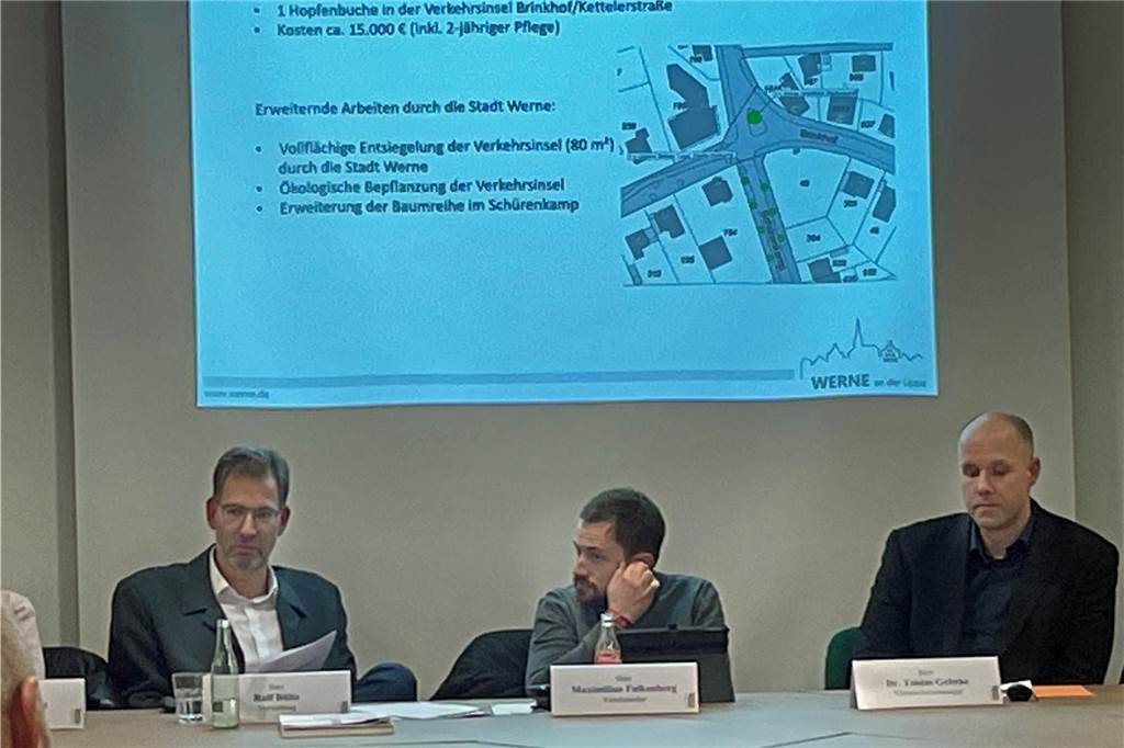 Klaus Schlüter zu Baumfällungen: „Werden von Investoren belogen“ Verärgerte Mienen beim Thema Ersatzpflanzung am Brinkhof: (v. l.) Planungsdezernent Ralf Bülte, Ausschussvorsitzender Maximilian Falkenberg und Klimaschutzmanager Dr. Tobias Gehrke.