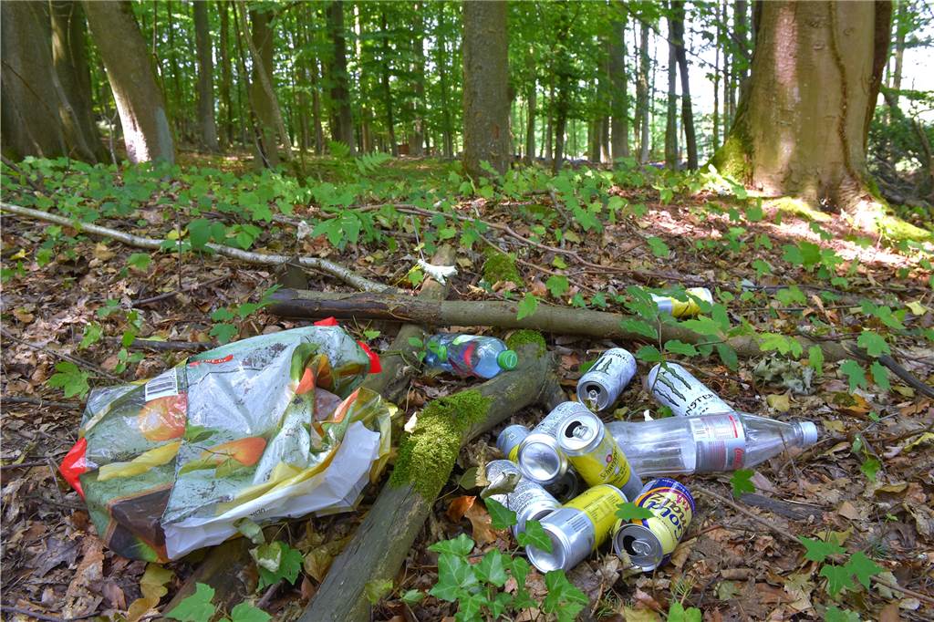 10 Dinge, die Sie im Wald dürfen - und 10 Dinge, die verboten sind Verboten: den Müll im Wald zu hinterlassen oder ihn dort abzukippen.
