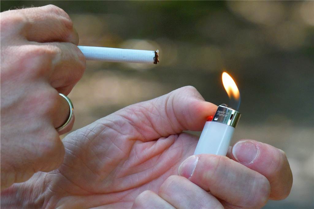 10 Dinge, die Sie im Wald dürfen - und 10 Dinge, die verboten sind Verboten: im Wald zu rauchen oder Feuer zu machen – zumindest im Sommer.