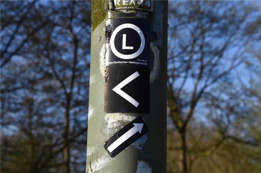 Verlaufen (fast) ausgeschlossen dank der vorbildlichen Wegmarkierung.