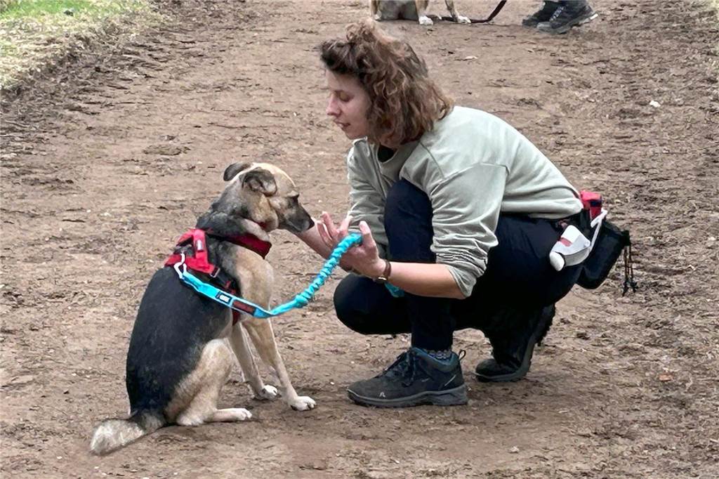 Die Gassi-Runde wird zum Fitnesstraining: Dorstenerinnen bieten Sport mit Hund an Veronika Linde beugt sich zu ihrer Hündin Heidi