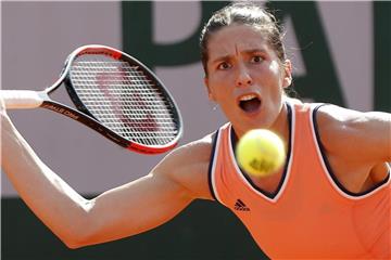 Verpasste in Paris den Einzug ins Halbfinale: Andrea Petkovic. Foto: Michel Euler