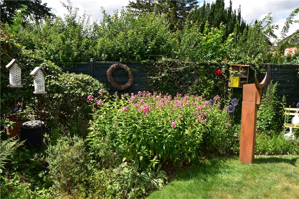Dortmunder Senioren sind stolz auf 750 Quadratmeter wilden Naturgarten Verschiedene, flächendeckende Rosen und Stauden schmücken den Garten.
