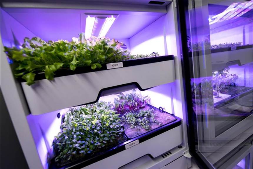 „Vertical Farming“: Neue Zauberworte der Licht-Industrie Verschiedene Salate und Kräuter wachsen unter LED-Lampen im Labor der Firma Agrilution ion München. Foto: Sven Hoppe