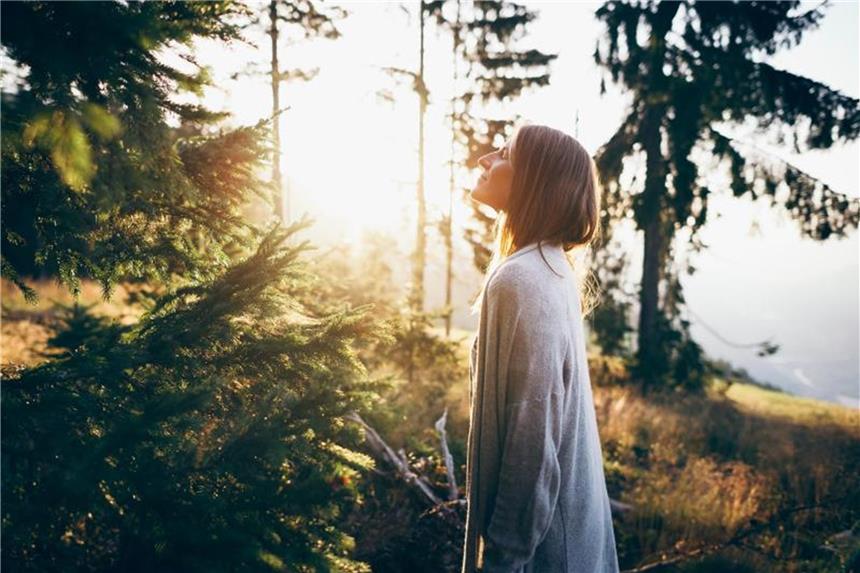 Trend aus Japan: Wellness mit Waldbaden Verschnaufpause: In Südtirol führt Barbara Peintner vom „Hotel Gitschberg“ ihre Gäste morgens zum „Atemwandern“ in den Wald. Foto: Andre Schoenherr/Hotel Gitschberg