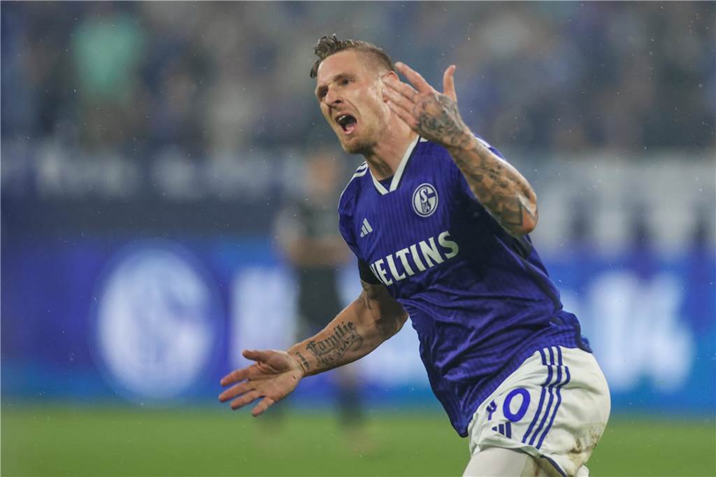Schalke und Wintertransfers: Es wird nicht nur in eine Richtung gehen Sebastian Polter, FC Schalke 04