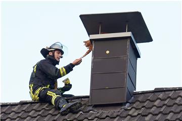 Vertrauen ist wichtig: Der Feuerwehrmann lockt den Kater mit Lieblingsfutter.