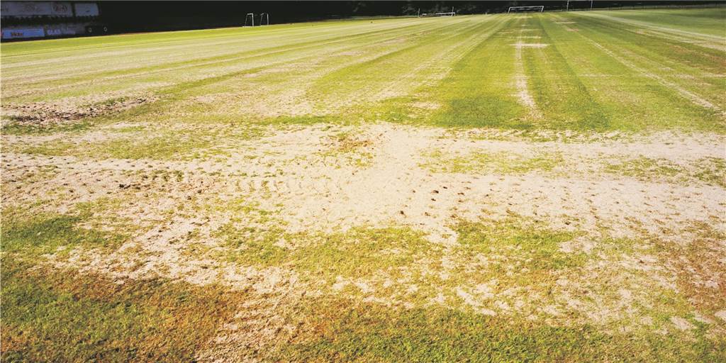 Wenn der Bauhof zu früh klingelt... - Rasenplatz-Sanierung in Röllinghausen sorgt für Ärger Viel Sand im Getriebe: Die Platzanlage von SW Röllinghausen an der Klarastraße in Recklinghausen.