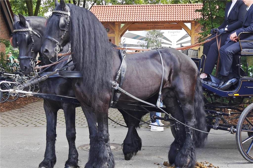 Viele befreundete Vereine aus Alstätte und Umgebung sind zum Jubiläum des Schützenvereins Schmäinghook gekommen. Alleine 15 Kutschen fuhren durch den Ort.