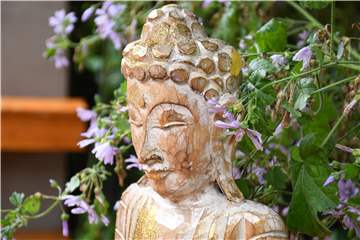 Viele Buddhas stehen im Garten von Heidemarie Göke. Sie hat sich einen Meditationsgang angelegt.