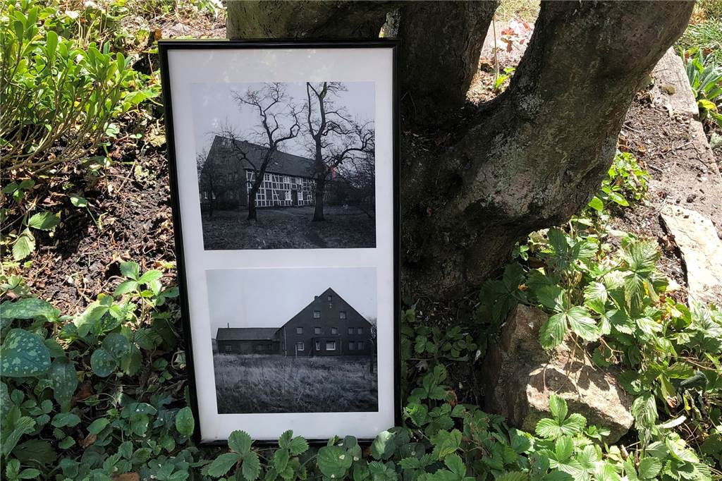 Zwischen Chaos und Ordnung: Im Garten eines Castrop-Rauxeler Künstlers Viele Dinge aus dem alten Fachwerkhaus hat Jan Bormann wiederverwertet. Die alten Tröge aus dem Kuhstall hat er zu Blumenkübeln umfunktioniert.
