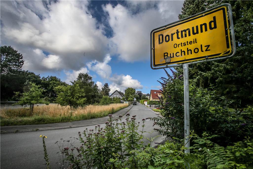 Syburg und Buchholz: Fantastisches Naturerlebnis mit Schwächen in der Infrastruktur Viele Einfamilienhäuser, lockere Siedlungen, aber kein zentraler Platz für das Dorfleben: Das prägt Syburg und Buchholz.