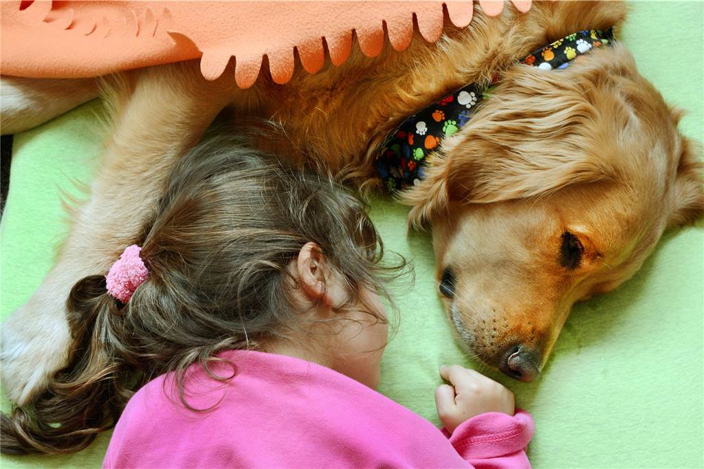 Viele Abgabeanfragen im Tierheim - Familien mit „Corona-Hunden“ überfordert Viele Eltern haben sich während der Corona-Pandemie einen Hund angeschafft, um ihren Kindern etwas Gutes zu tun. Oftmals haben sie dabei jedoch unterschätzt, wie viel Arbeit so ein Tier macht. (Symbolbild)