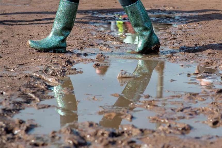 „Öko-Test“ prüft in Gummistiefeln enthaltene Schadstoffe Viele Gummistiefel enthalten die krebsverdächtigen Schadstoffe Naphthalin und Phthalate. Foto: Hauke-Christian Dittrich