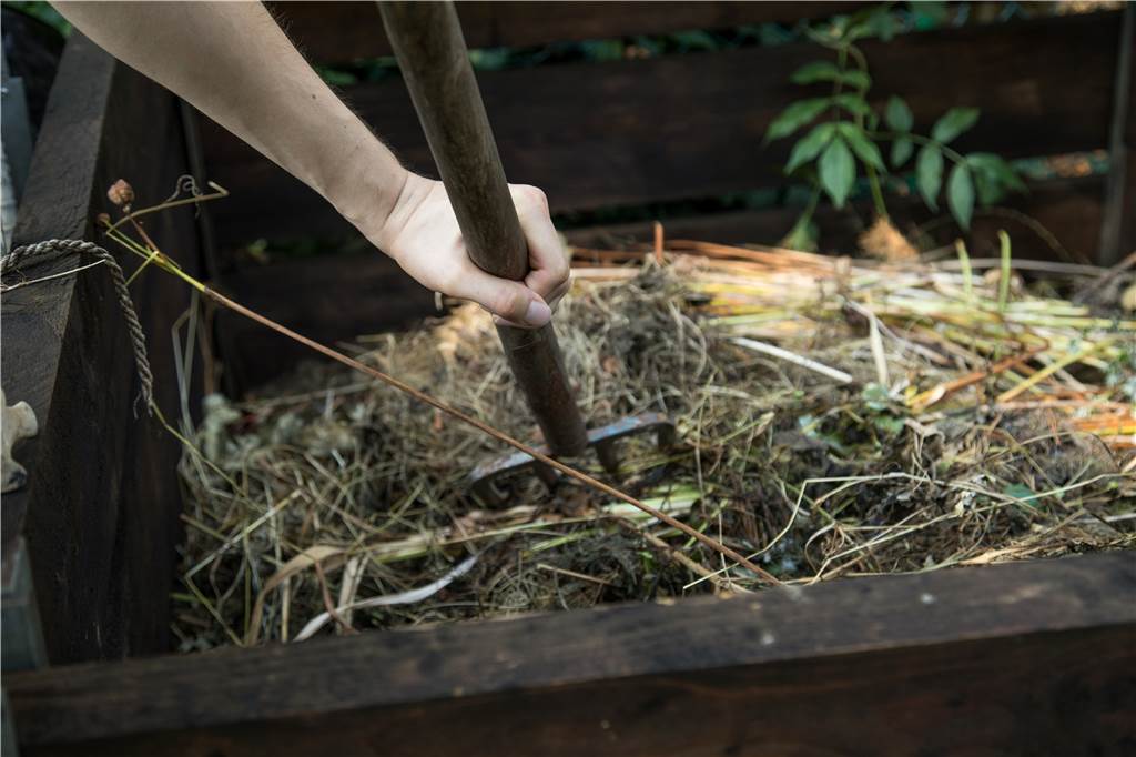 Keine Biotonne in Haltern: „Natur und Umwelt sind der Stadt ziemlich egal“ Viele Halterner kompostieren ihre Bioabfälle im eigenen Garten. (Symbolbild)