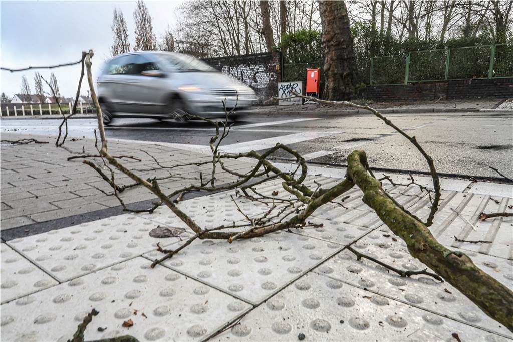Abgeknickte Äste und niedergewehte Bauzäune im Stadtbezirk Scharnhorst Viele heruntergewehte Äste sammelten sich an der Altenderner Straße in Derne.