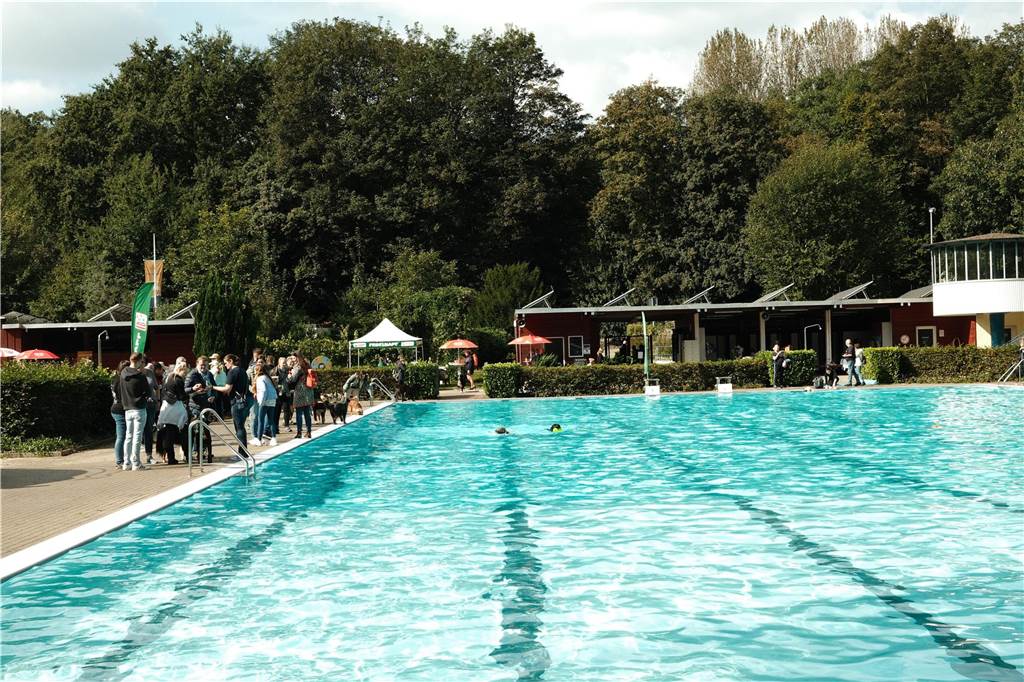 Viele Hunde und ihre Herrchen und Frauchen kamen am Sonntag, 15. September im Freibad Brambauer zum Saisonabschluss zusammen. Einige Eindrücke.