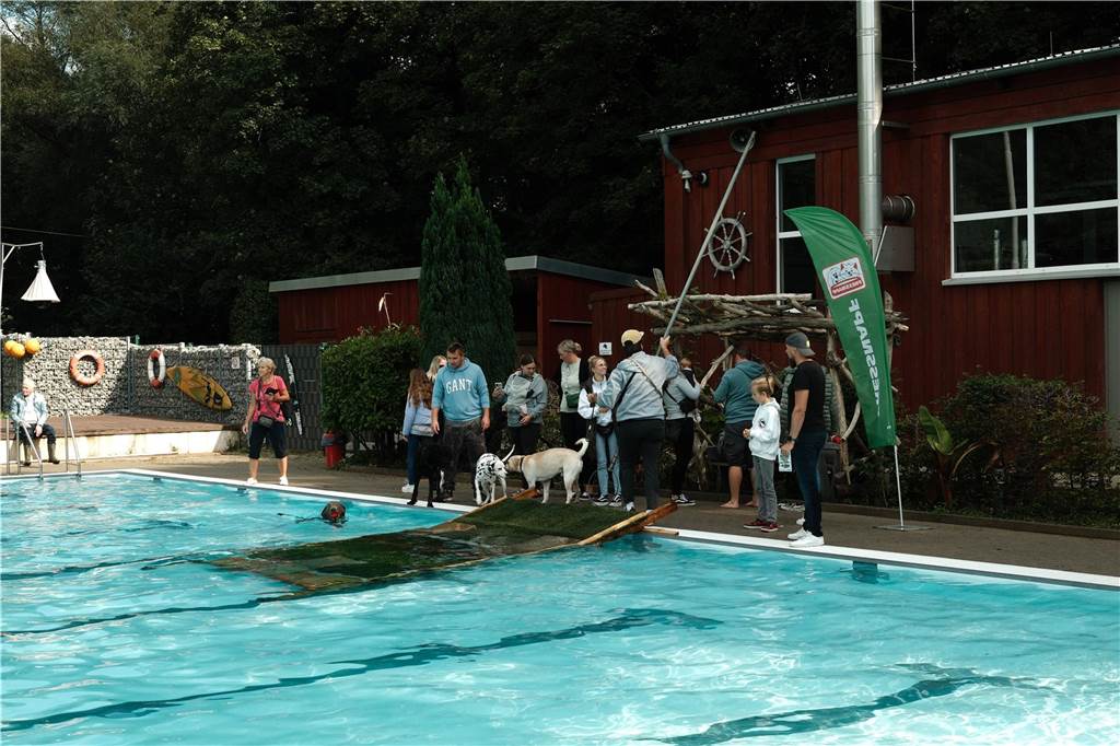 Viele Hunde und ihre Herrchen und Frauchen kamen am Sonntag, 15. September im Freibad Brambauer zum Saisonabschluss zusammen. Einige Eindrücke.