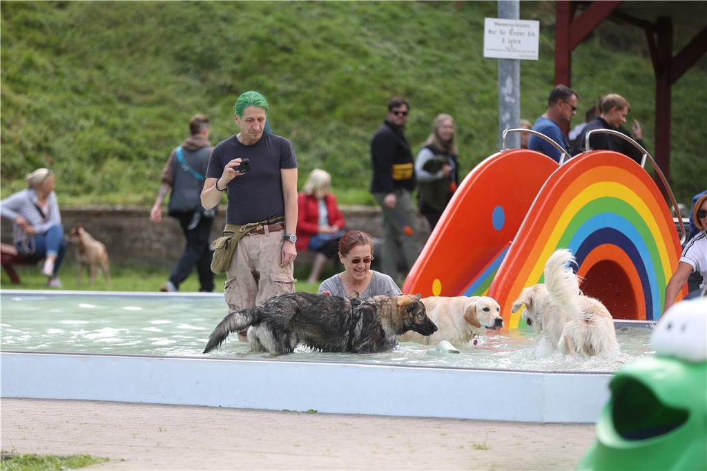 Viele Hunde und ihre Herrchen und Frauchen kamen am Sonntag, 15. September im Freibad Brambauer zum Saisonabschluss zusammen. Einige Eindrücke.