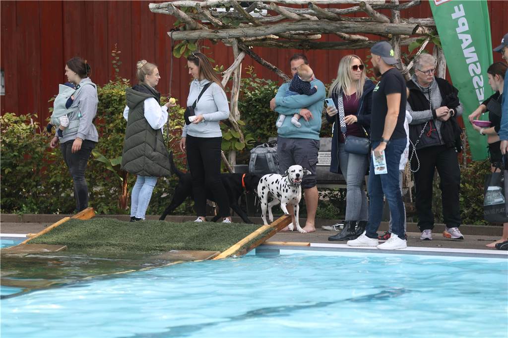Viele Hunde und ihre Herrchen und Frauchen kamen am Sonntag, 15. September im Freibad Brambauer zum Saisonabschluss zusammen. Einige Eindrücke.