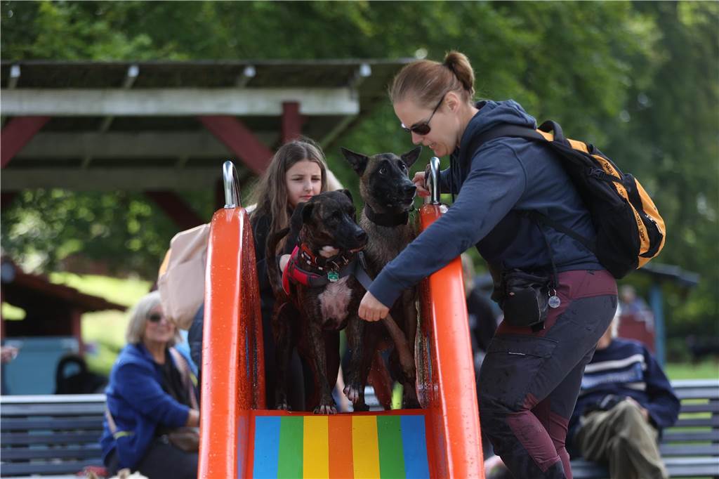 Viele Hunde und ihre Herrchen und Frauchen kamen am Sonntag, 15. September im Freibad Brambauer zum Saisonabschluss zusammen. Einige Eindrücke.