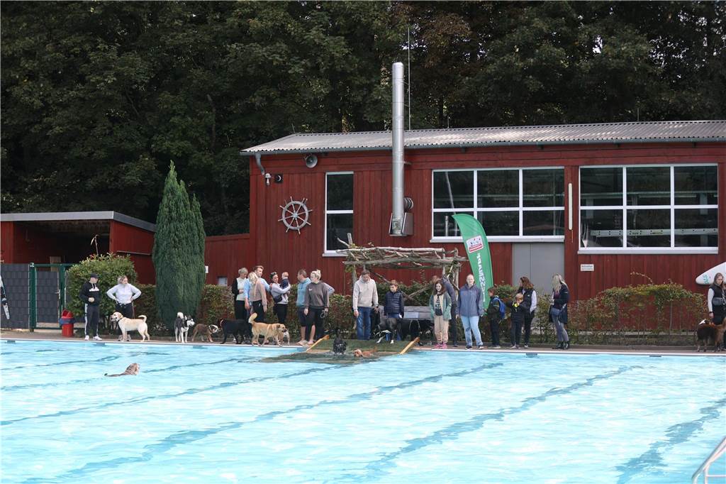Viele Hunde und ihre Herrchen und Frauchen kamen am Sonntag, 15. September im Freibad Brambauer zum Saisonabschluss zusammen. Einige Eindrücke.