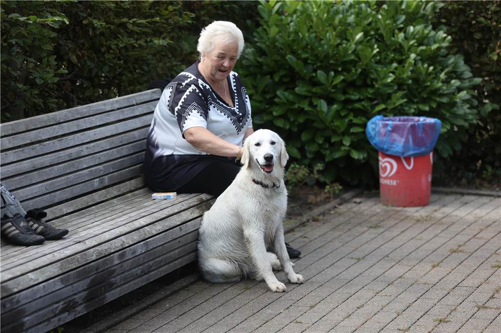 Viele Hunde und ihre Herrchen und Frauchen kamen am Sonntag, 15. September im Freibad Brambauer zum Saisonabschluss zusammen. Einige Eindrücke.