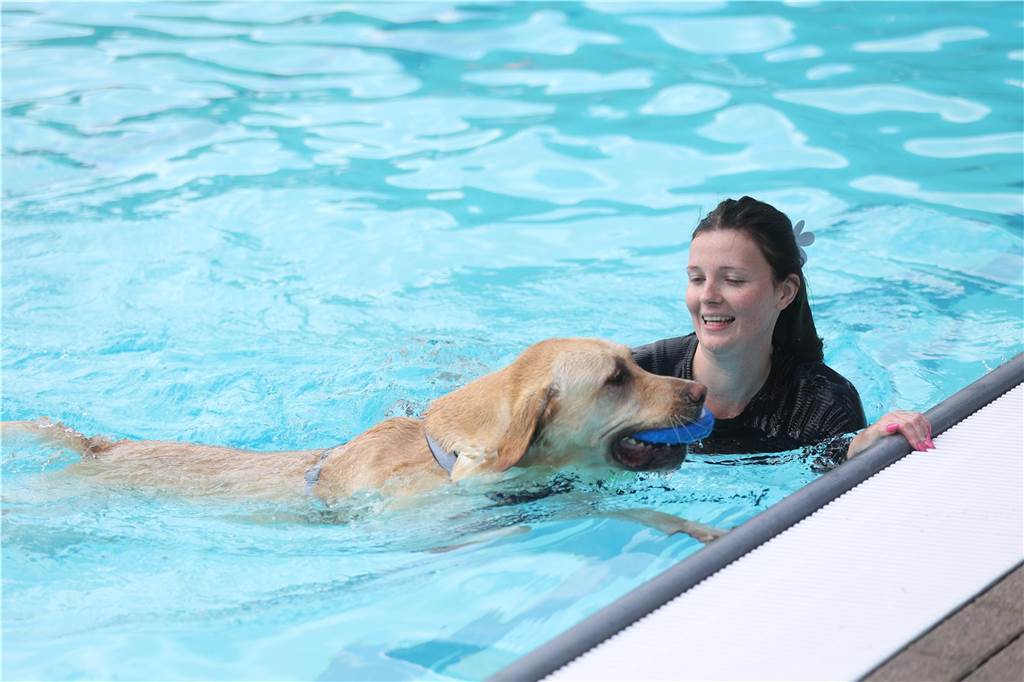 Viele Hunde und ihre Herrchen und Frauchen kamen am Sonntag, 15. September im Freibad Brambauer zum Saisonabschluss zusammen. Einige Eindrücke.