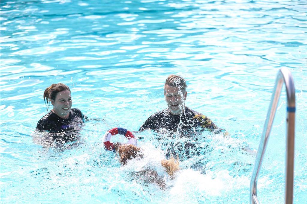 Viele Hunde und ihre Herrchen und Frauchen kamen am Sonntag, 15. September im Freibad Brambauer zum Saisonabschluss zusammen. Einige Eindrücke.