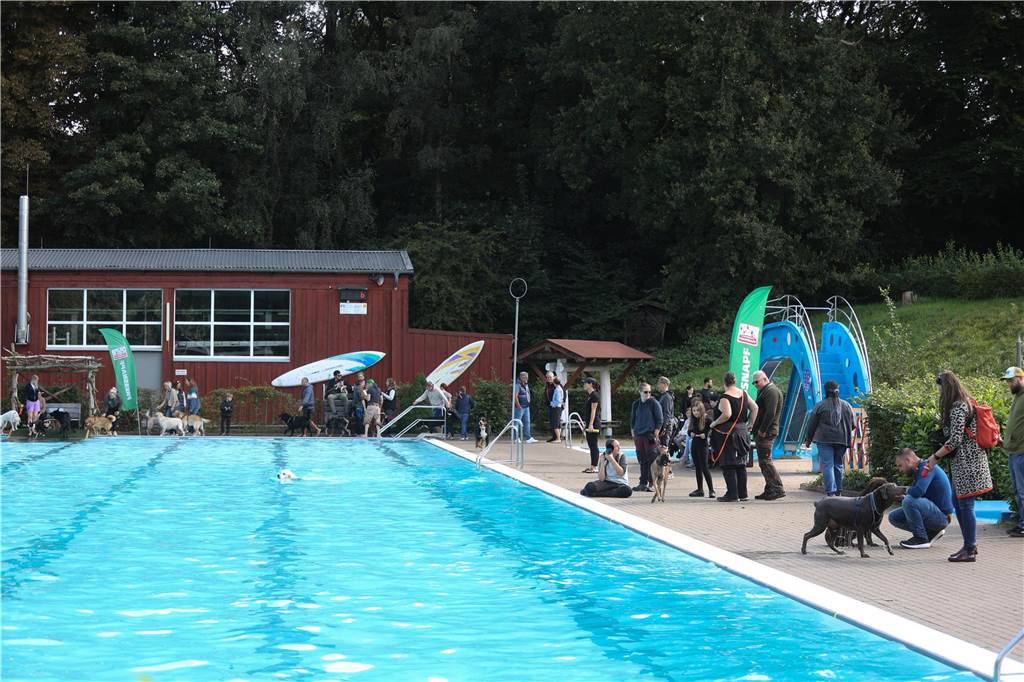 Viele Hunde und ihre Herrchen und Frauchen kamen am Sonntag, 15. September im Freibad Brambauer zum Saisonabschluss zusammen. Einige Eindrücke.