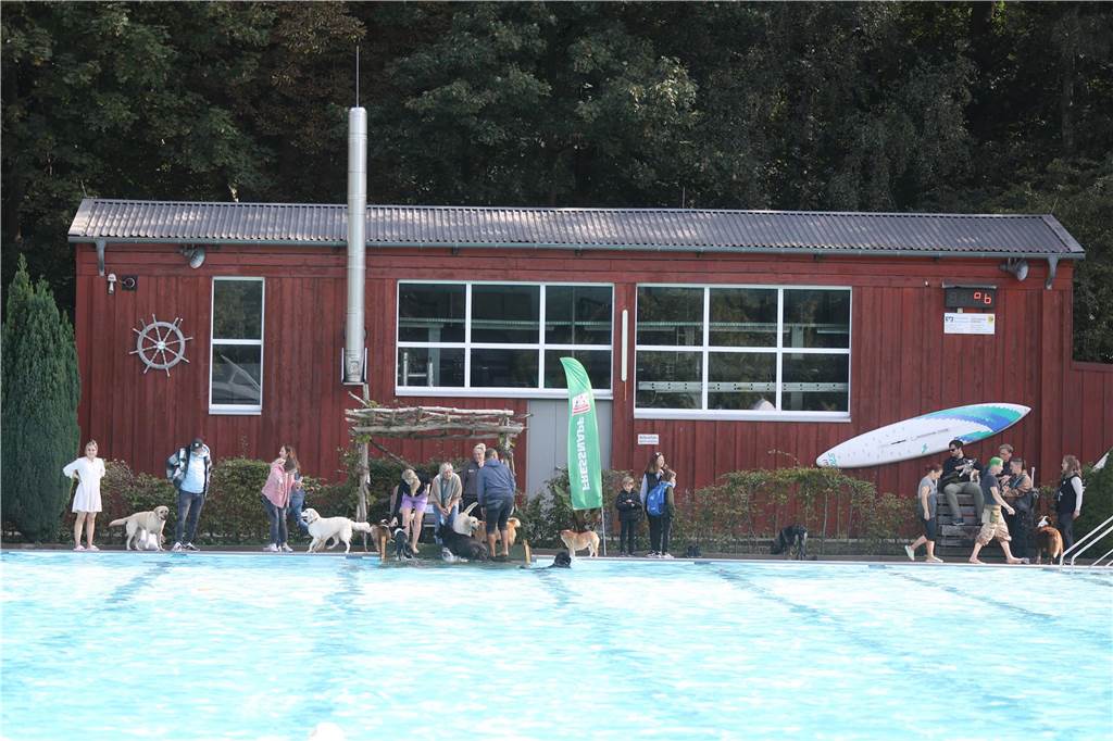 Viele Hunde und ihre Herrchen und Frauchen kamen am Sonntag, 15. September im Freibad Brambauer zum Saisonabschluss zusammen. Einige Eindrücke.