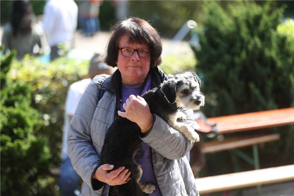 Viele Hunde und ihre Herrchen und Frauchen kamen am Sonntag, 15. September im Freibad Brambauer zum Saisonabschluss zusammen. Einige Eindrücke.