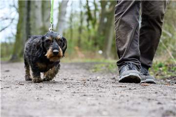 Viele Hundebesitzer in Haltern haben in diesen Tagen eine Mahnung der Stadt erhalten.