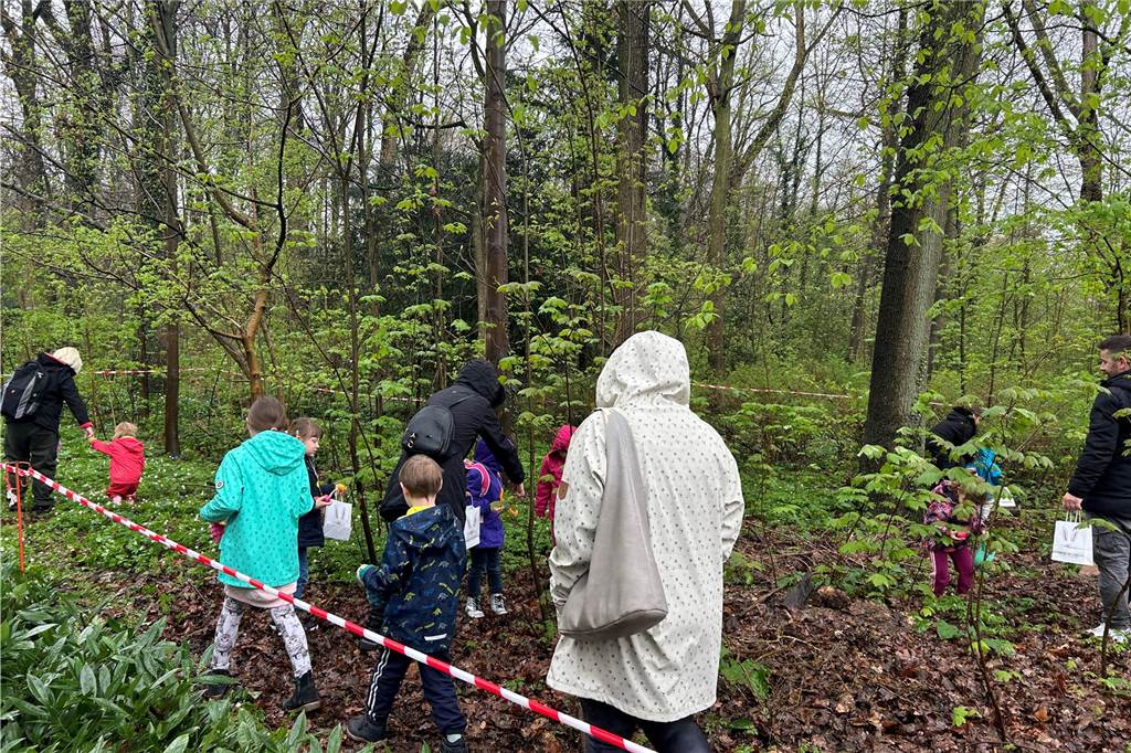 Menschen, die nach Ostereiern in einem abgegrenzten Bereich suchen.